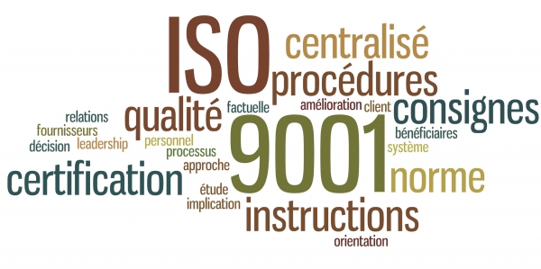 Nuage de Mots : ISO 9001